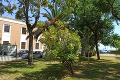 Riqualificata Piazza D’Agostino, vicino alla Scuola Giustina Rocca