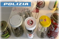 Trani: coltivava marijuana in casa, arrestato dalla Polizia di Stato