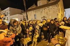 Sarà a San Rocco la benedizione di tutti gli animali per la festa di Sant'Antonio Abate: appuntamento al 17 gennaio