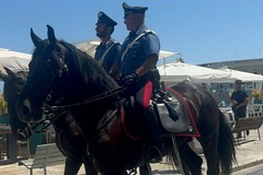 Sorpresa a Trani, i Carabinieri a cavallo incantano il centro storico