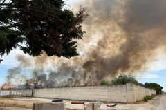 Vasto incendio in un'azienda in via Curatoio