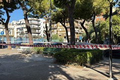 Area recintata in piazza Dante a Trani per un grosso ramo di pino pericolante