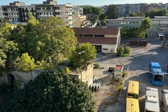 Emergenza topi in via Vecchi: «Invasi nelle case, il Comune intervenga subito»