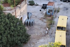 Topi in via Vecchi, avviate le operazioni di disinfestazione