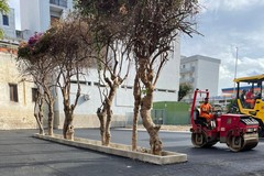 Lavori in corso all’ex Ospedaletto: finalmente si asfalta il parcheggio dell’Ufficio Igiene