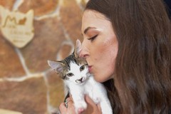 Un'esplosione di fusa e coccole: la video intervista a Rosaria Lopopolo, la "fatina" dei gatti a Trani