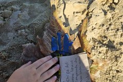 La gentilezza fiorisce per le strade: il progetto dei bambini del Marsupio incanta Trani