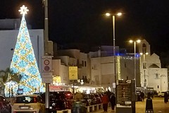 D'oro e d'azzurro: risplende sul porto l'albero di Natale a Trani