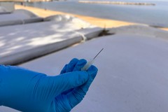 Trani, ago da siringa nella sabbia di Colonna: ragazza ferita