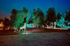 Notte di stelle e poesia al Parco Santa Geffa