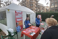 Auser Trani, il progetto "Mica Scemi!" torna: incontro a Palazzo Beltrani contro le truffe agli anziani