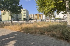 Piazza Madre Teresa di Calcutta: a Trani i cittadini chiedono aiuto