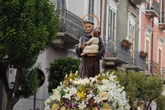 Trani festeggia oggi Sant'Antonio di Padova