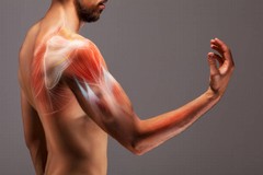 Carenza muscolare e difficoltà nel perdere peso