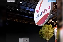 Crisi al Comune di Trani, Italia Viva Bat al fianco di Marco Galiano: «Prima delle appartenenze politiche vengono le istituzioni»