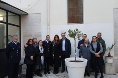 “L’Ulivo di Gino”: un simbolo di pace e dignità negli Istituti Penitenziari di Trani