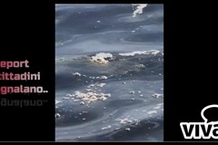 Liquami in mare sul Lungomare Colombo: la segnalazione dei cittadini chiede controlli e risposte