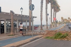 Paura a Trani, tromba d’aria si abbatte sulla città: volano i tavolini dei locali e cadono alberi sul lungomare