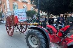 Editoriale: Scusate il Disturbo | La terra svenduta e l’oro verde che non sfama: la ferita aperta della Provincia Barletta Andria Trani