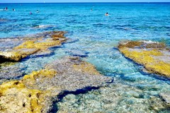 Idee per una vacanza in Puglia