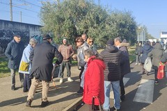 Il mercato settimanale di Trani si può ancora salvare