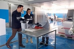Tribunale di Trani, udienza sul tonno adulterato: venti imputati davanti al gup