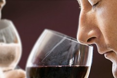 Bere consapevole, diventa assaggiatore di vino