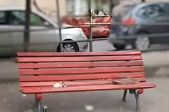 Emergenza abitativa a Trani | Raffaella Merra: "C'è una signora che dorme su una panchina e nessuno se ne occupa."