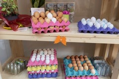 Pasqua in Puglia, vince la tradizione: 7 famiglie su 10 festeggiano a casa