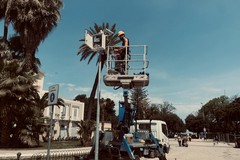 Stop ai veicoli a motore davanti alla villa di Trani, installato il varco elettronico
