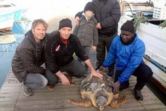 Due tartarughe recuperate al largo di Trani