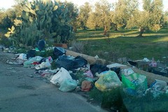 Fratelli d’Italia Trani solleva l’allarme eco-mafia: interrogativi sulla gestione dei rifiuti