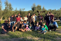 Santa Geffa , a Trani il volo splendido dei falchi conquista le famiglie