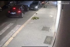 Inseguimento nella notte a Trani: due giovani identificati dopo lo schianto in centro