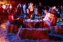 A Trani torna la “Notte delle Lanterne”: vino, cultura e sapori sotto le stelle