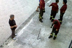 Vigili del fuoco catturano un serpente