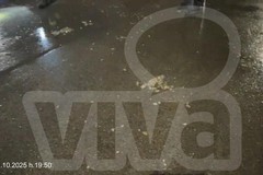 Dopo la tromba d'aria: il Sindaco chiude via Papa Giovanni XXIII