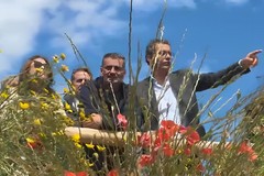 Bottaro | "Costa Sud è realtà. Una conquista naturalistica da 2,4 milioni che ridisegna il litorale di Trani"