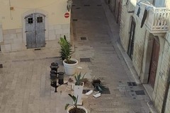 Distrutti vaso e pianta ornamentale in piazza Tomaselli