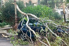 Precipitazioni sparse e vento di Scirocco a Trani: i primi danni e l'allerta meteo in corso
