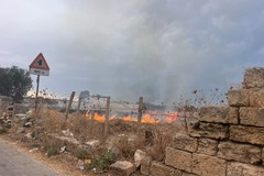 ULTIMA ORA | Trani, vasto incendio in Contrada Sant'Angelo: fumo visibile da tutta la città, rogo si espande verso la SS 16 bis
