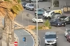 Palma crollata sul lungomare | L'agronomo Giovanni Guerra non fa sconti: "Altro che fatalità, la colpa è delle potature sbagliate"