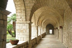 Italia Nostra | I giovani di Trani custodi del domani: al via “IN-SIEME PER IL PATRIMONIO”