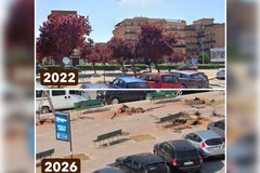 Verde pubblico a Trani, Centrone (Trani Libera): «Abbattimenti in Piazza Albanese frutto di 11 anni di incuria. Serve reale discontinuità»