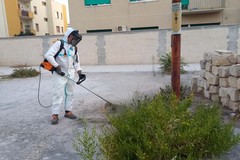 Trani. Degrado in via Vecchi, dopo la denuncia dei residenti interviene il Comune: al via la bonifica