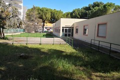 Scuole Collodi e Pertini, scatta a Trani  il piano sicurezza: affidato l'incarico per il consolidamento degli edifici