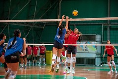 Lavinia Group Volley Trani: entusiasmo e voglia di continuità per la prima in casa contro la Sportilia Bisceglie