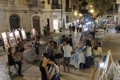 Domenica a Trani, ecco cosa fare