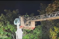 L'Omaggio floreale dei Vigili del Fuoco in Piazza Libertà