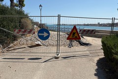 Polmone verde al collasso o collassato? Villa Comunale: lavori ancora fermi